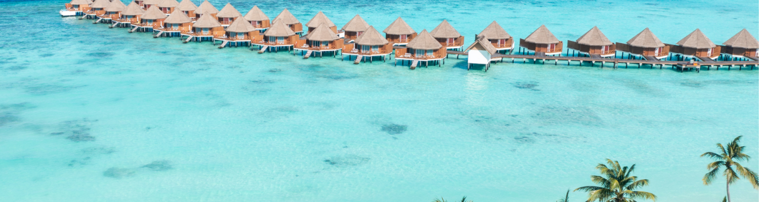 the-resort