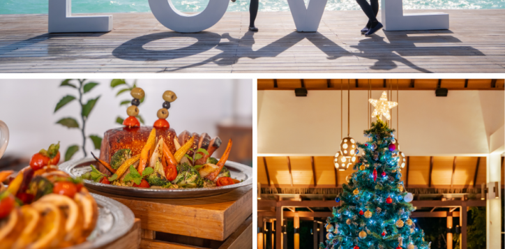 mmk_festive-christmas-offer-page_930x1200-px-2-2